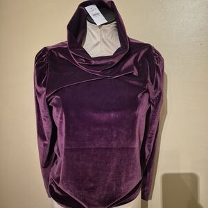 Anne Taylor Loft velvet blouse